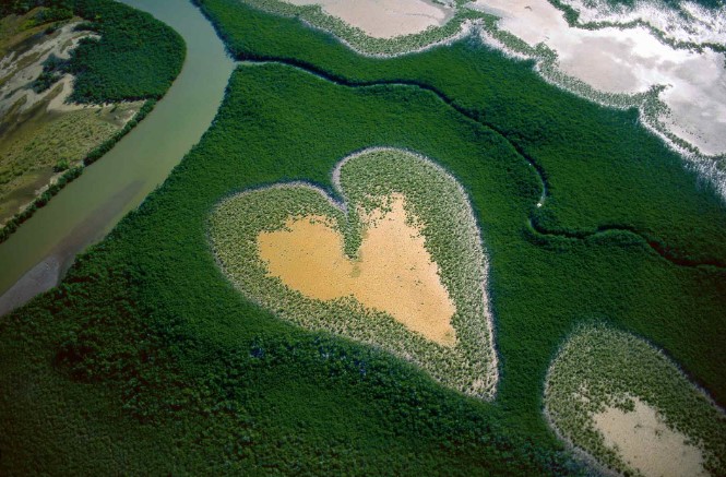 Exposition Yann Arthus-Bertrand à l’espace Fournel