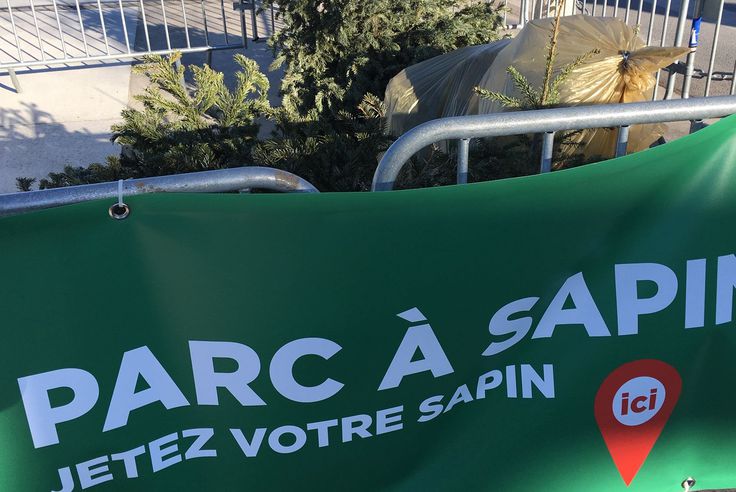 Un parc à sapins
