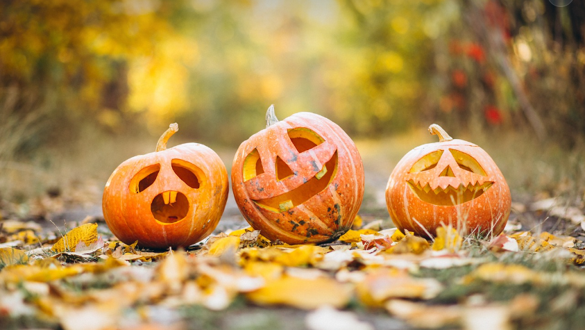 Prévention des violences urbaines durant Halloween