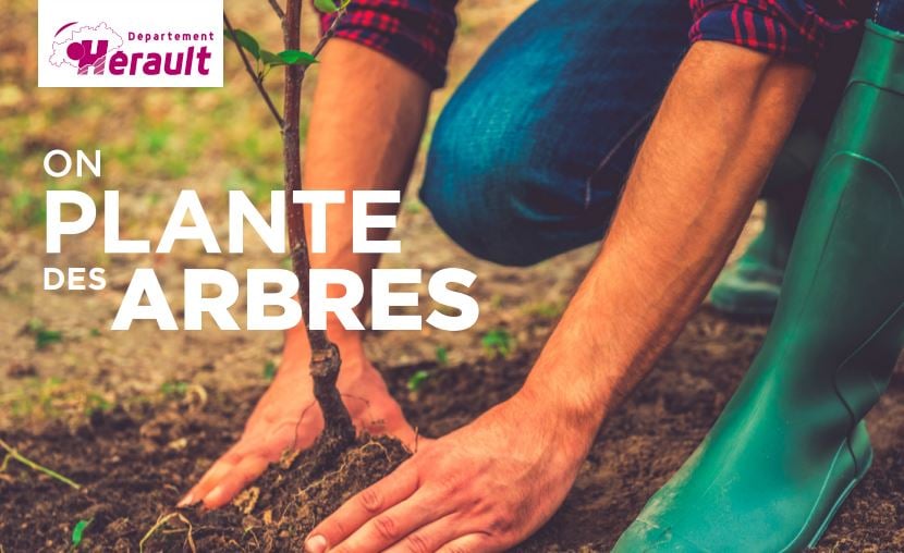 La Ville participe à l’opération 8 000 arbres pour l’Hérault