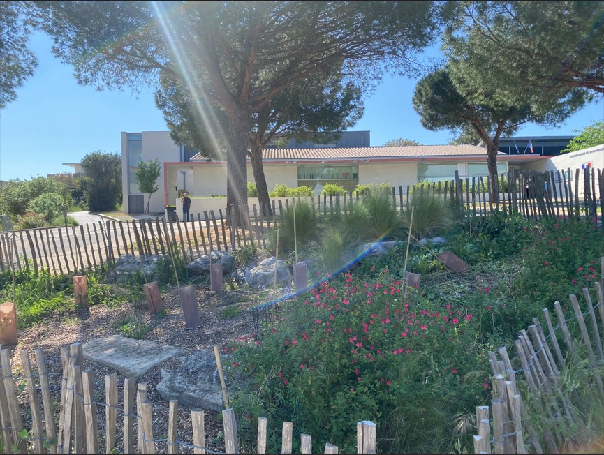 Focus sur quelques végétaux du parvis Saint-Exupéry à Castelnau-le-Lez