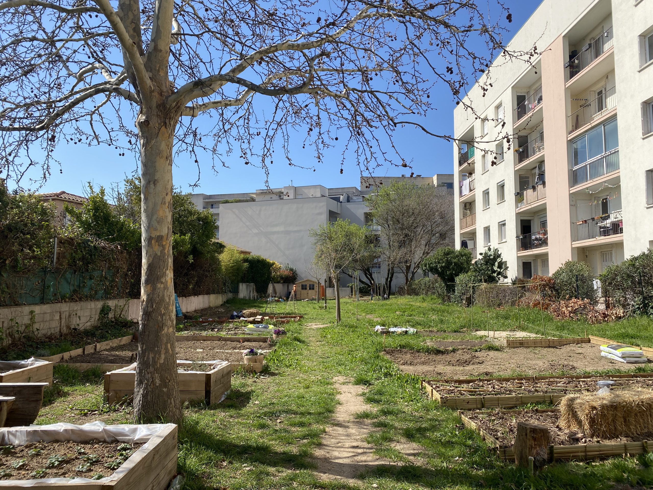 Vue du jardin partagé Le Terrain prise en 2024