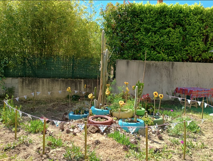 Un espace est dédié aux cactées dans le jardin partagé Le Terrain, à Castelnau-le-Lez