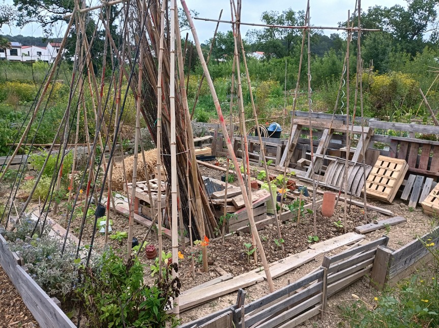 Des plantations au jardin partagé Graine de Caylus