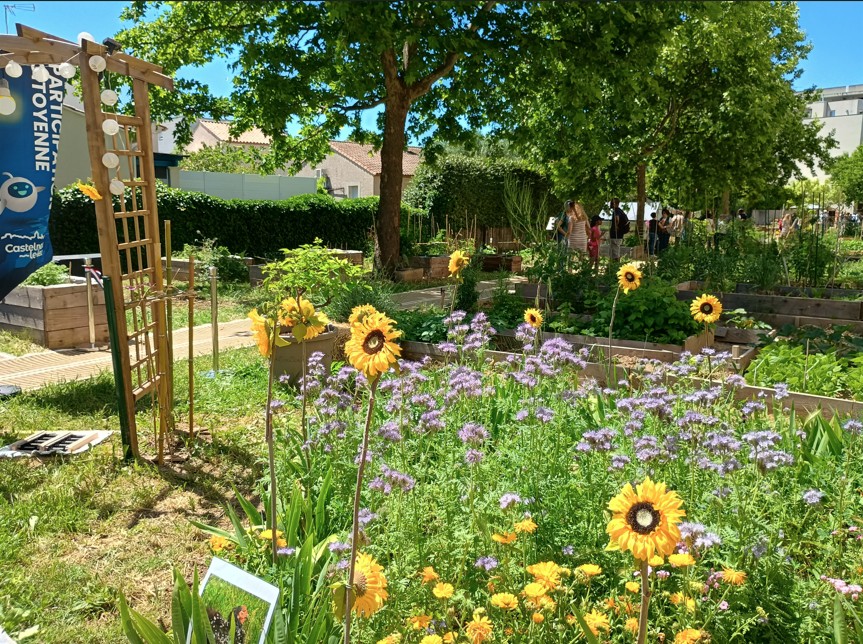 Vue sur le jardin partagé Le Terrain