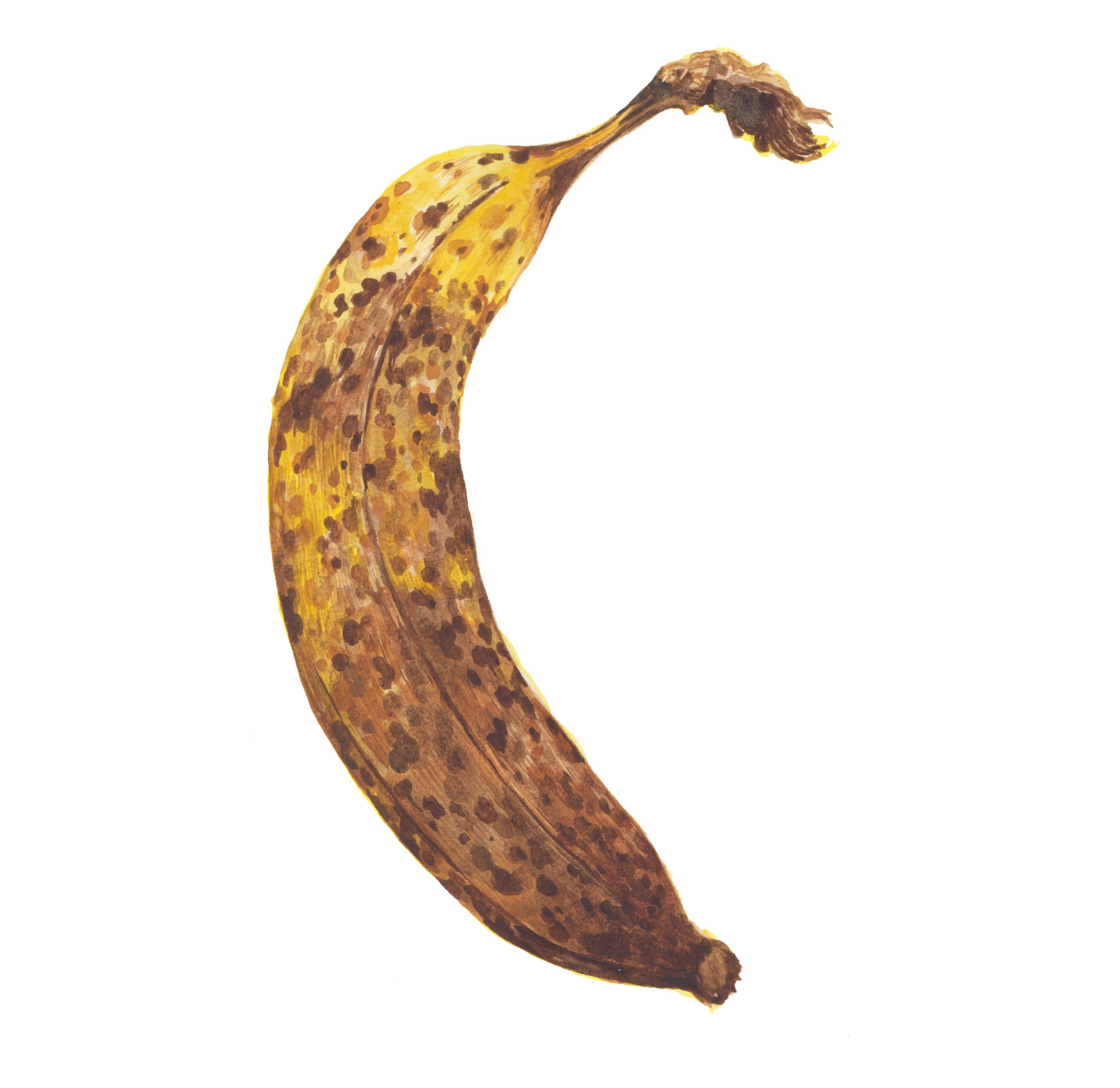 Banane, Georges Boulard, FRAC