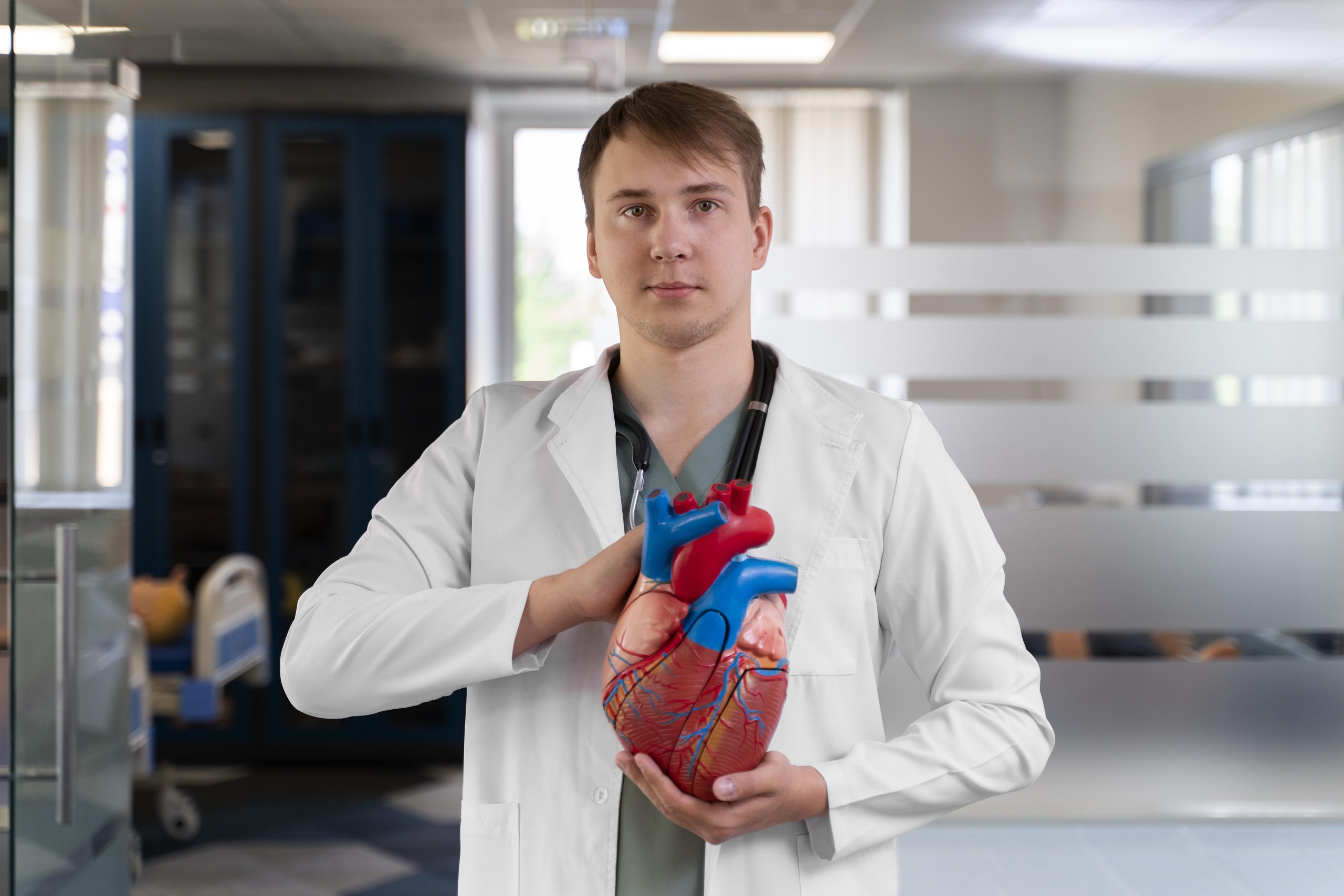 médecin qui tient un cœur en plastique dans les mains