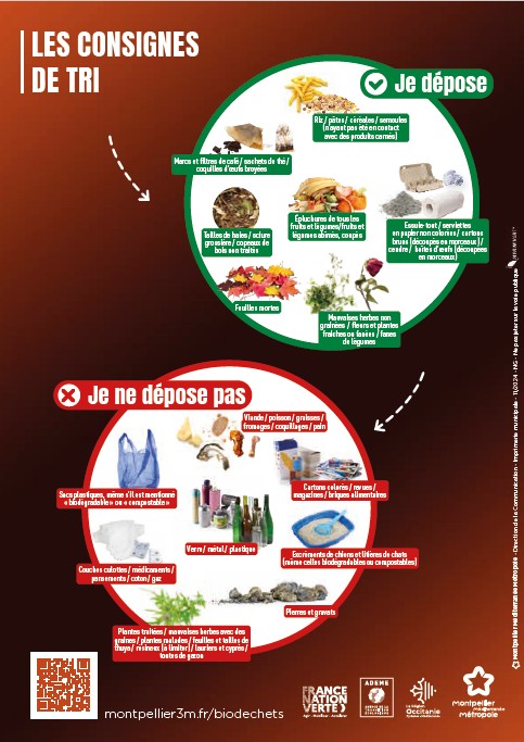 Affiche de Montpellier Métropole indiquant ce qui peut, ou non, être déposé dans les conteneurs à biodéchets