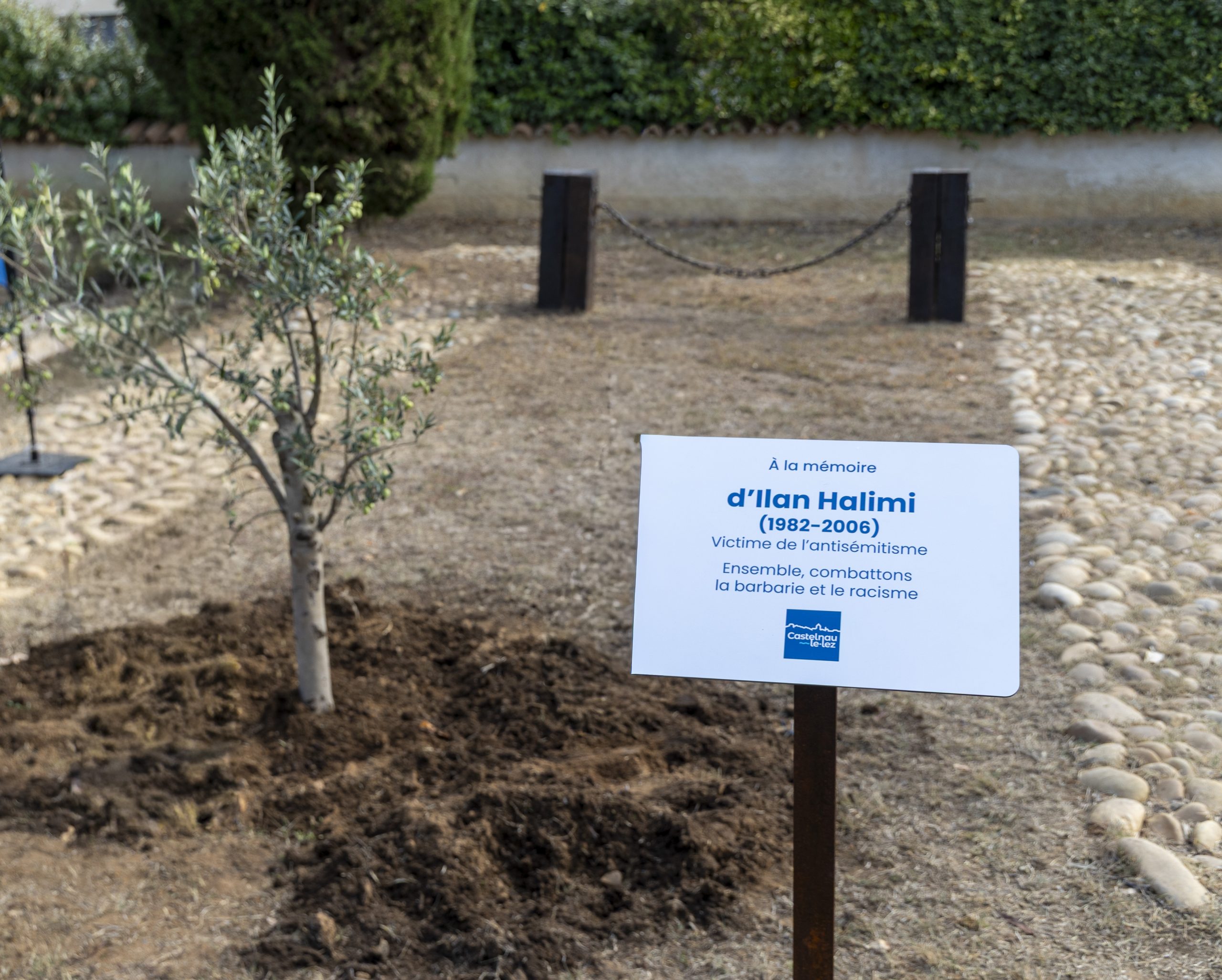 L'olivier et la plaque commémorative en mémoire d'Ilan Halimi, place Wiesenthal