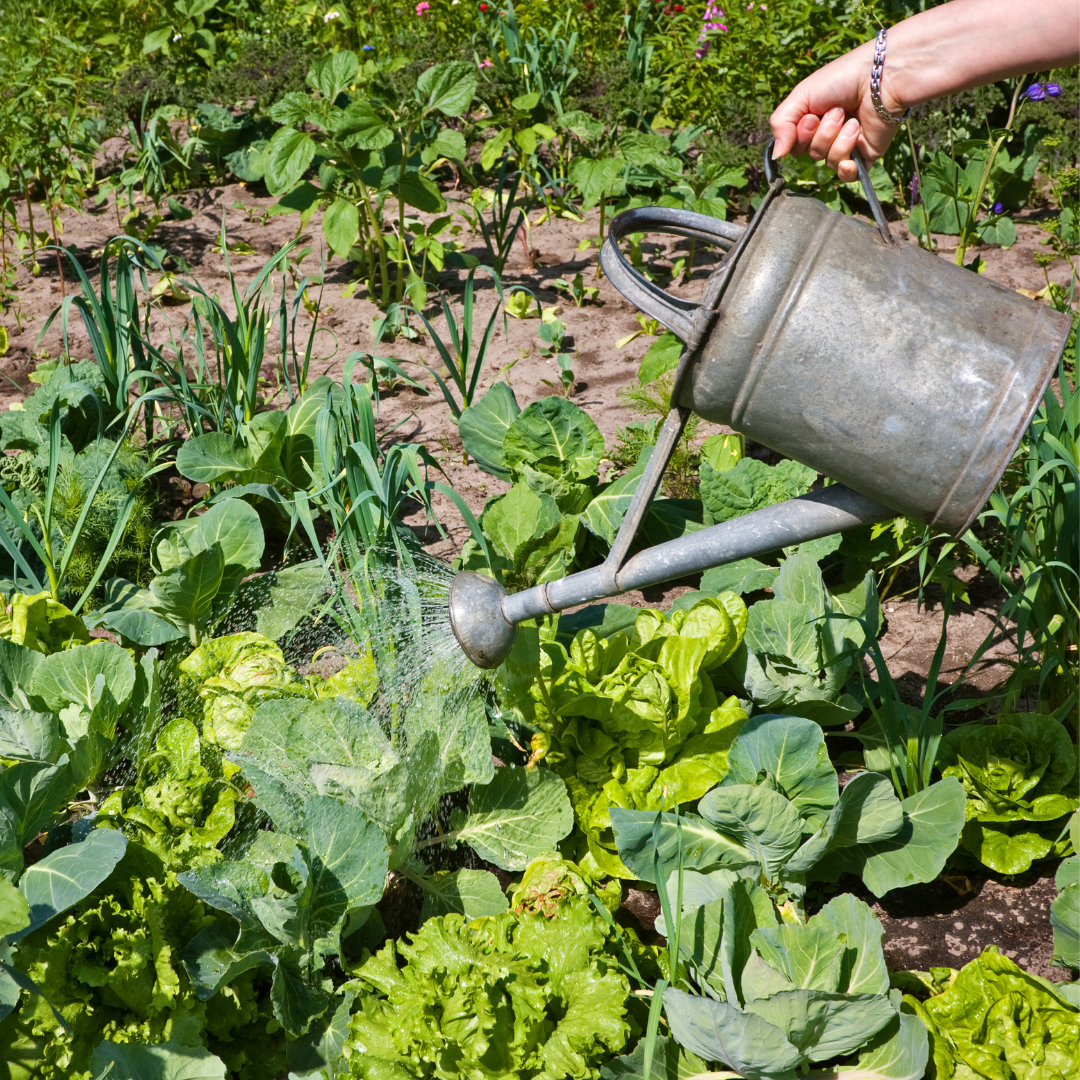 Atelier jardinage