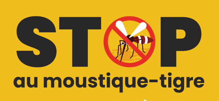 Atelier de sensibilisation à la lutte contre le moustique-tigre