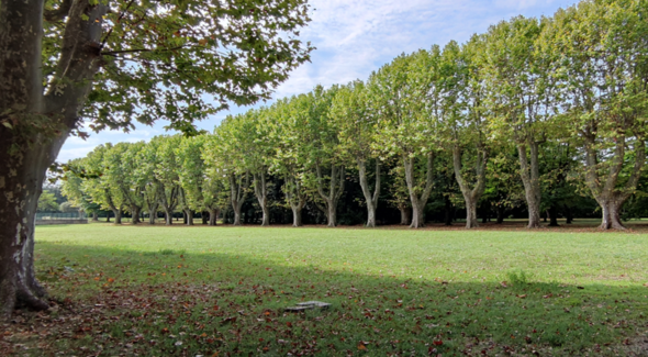 Un parc à l'automne 2022 au Mas de Rochet